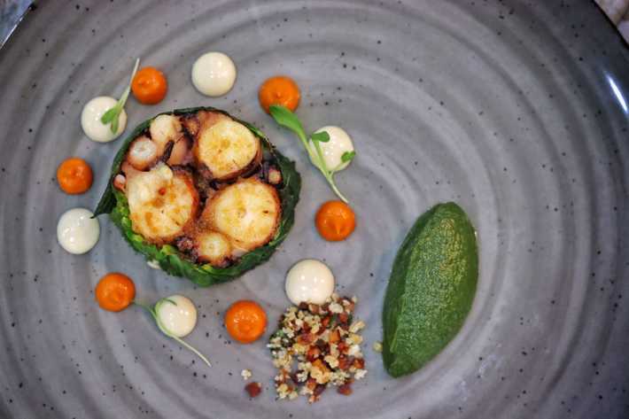 Uma viagem pelos 5 sentidos 